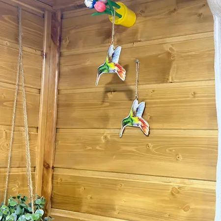 Camping Tiny House Beija-flor Challex